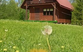 Noclegi Pod Bukowiną